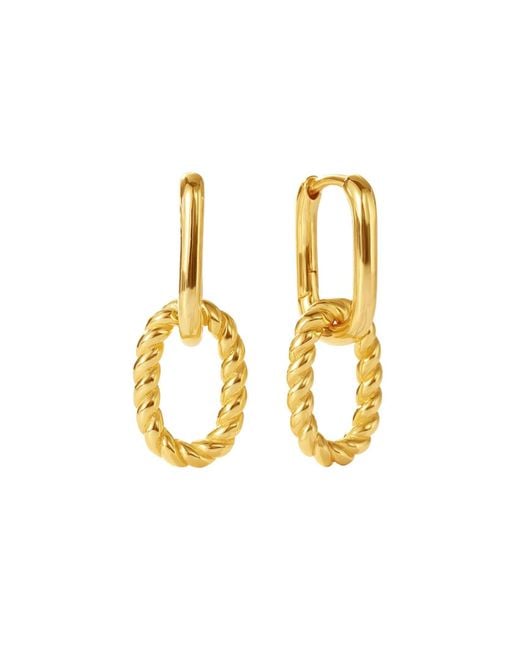 Nazzar Metallic Twist Drop Earrings