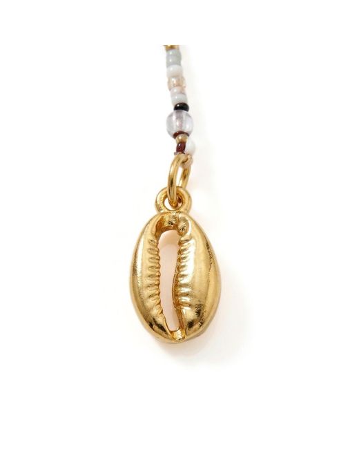 Jaredjamin Metallic Malibu Cowrie Shell Necklace for men