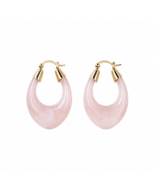 Nuvv Collection Pink Blush Resin Hoop Earrings With Detail