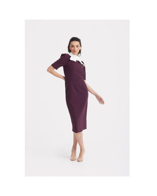 Julia Allert Purple Elegant Midi Dress With Contrast Bow Collar – Burgundy