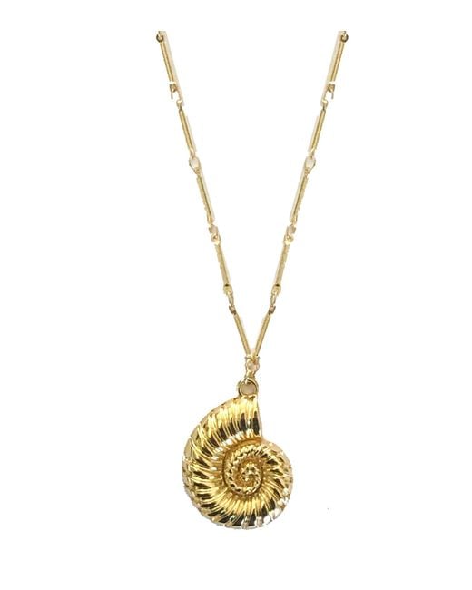 Adriana Pappas Designs Metallic Golden Nautilus Necklace