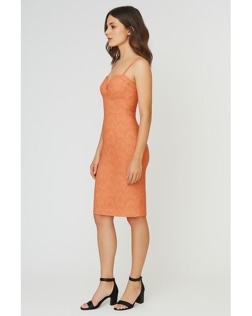 Conquista Multicolor Elegant Coral Jacquard Dress With Structured Notch Neckline