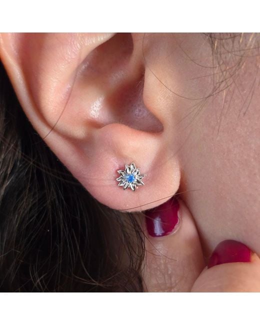 Harfi Blue December Birthstone Holly Birthflower Sterling Stud Earrings