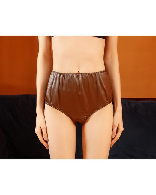 Soft Strokes Silk Gray Set Of Two Pure Mulberry Silk French Cut Panties