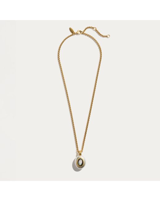 Stone Fruit Metallic Core Necklace
