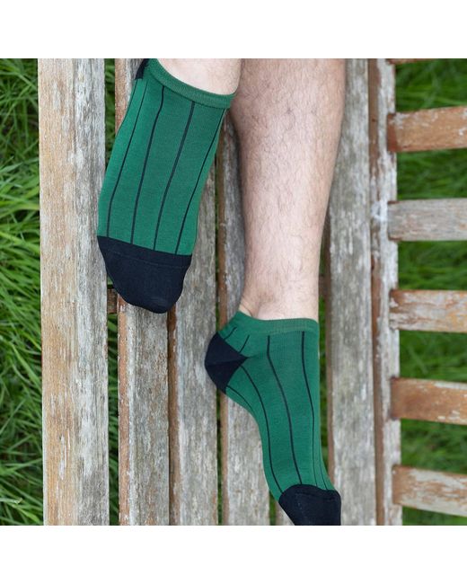 Peper Harow - Made in England Brown Pin Stripe Luxury Crew & Trainer Socks Bundle for men