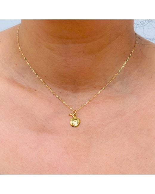 Lexi Jewelry Metallic Coco Loco Coconut Necklace