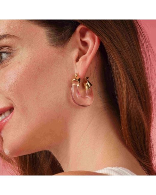 Michael Nash Jewelry Metallic Winslow Transparent Rose Resin And Hoop Earrings