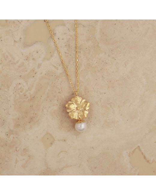 Agora Jewellery Metallic Bavella Mini Round Pearl Necklace