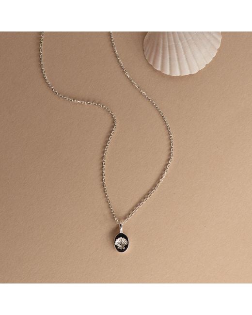 Zoe & Morgan Metallic Secret Society Of Shell Lovers Necklace