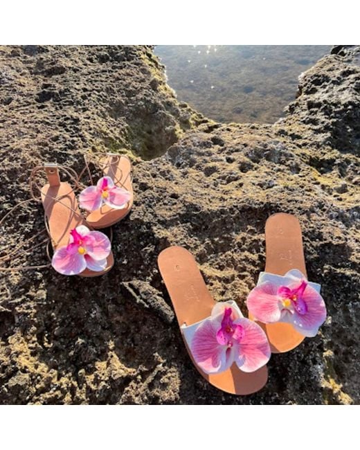 Sibylla Delphica Pink Calanthe Flat Leather Sandals