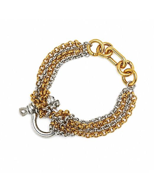 Kirei Metallic Link Chain Bracelet With Shackle Clasp
