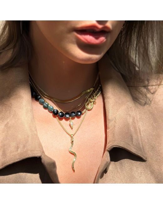 Rachel Nathan Metallic Crystal Snake Necklace