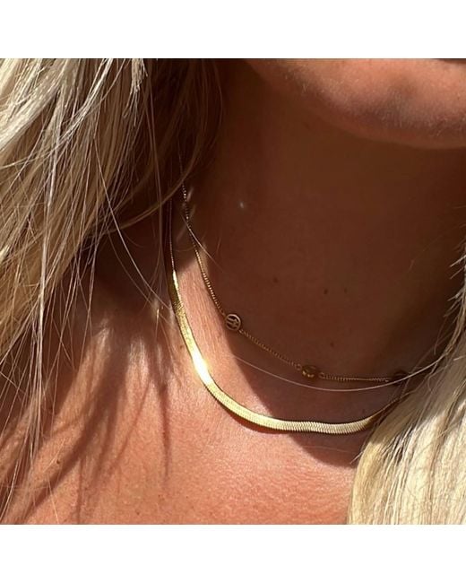 Evie Jewelry Metallic Sidewalk Necklace + Transition Sleeper Huggie Hoop Earrings