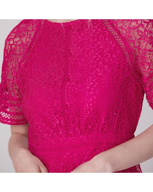 Smart and Joy All-lace Flared Dress And Trims
