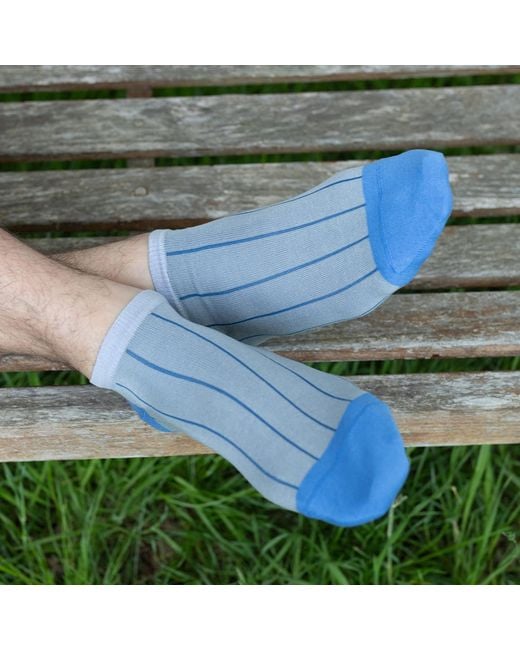 Peper Harow - Made in England Blue Pin Stripe Luxury Crew & Trainer Socks Bundle for men