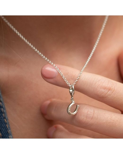 Lily Charmed Metallic Sterling Lucky Horseshoe Charm Necklace