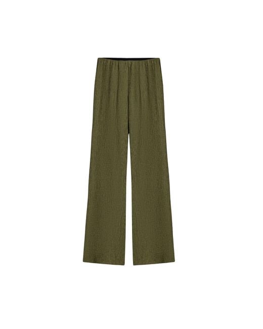 Nocturne Green Neutrals Flared High-Waist Pants
