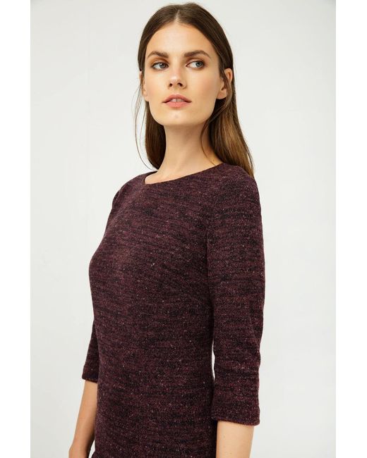 Conquista Purple Woollen Aubergine Winter Fitted Dress