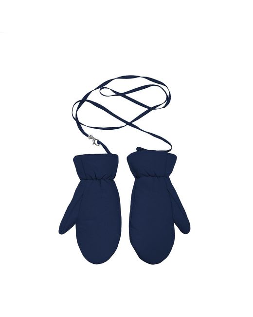 The New Orchard Blue Winter Vegan Gloves