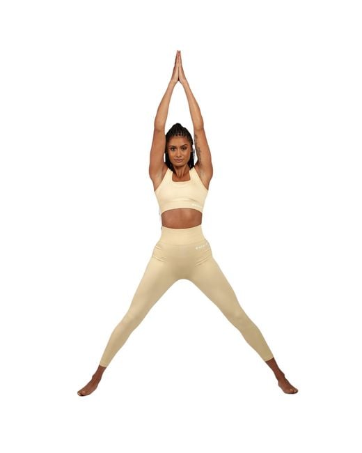 Bellaria Brown Cabernet Sculpt Sports Bra- Cream