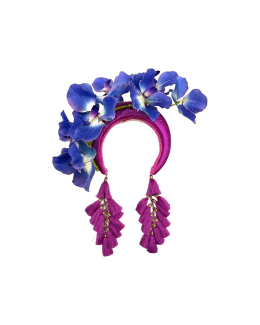 Julia Clancey Purple Orchid Bloom Magenta Bell Chacha Band