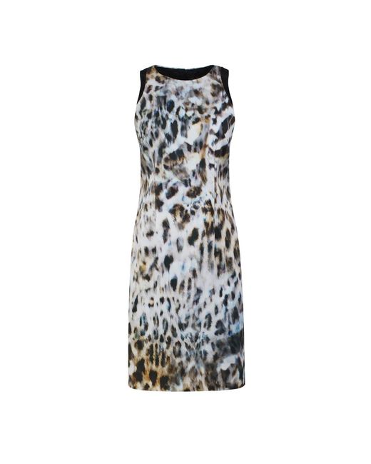 Conquista Black Print Sleeveless Dress With Contrast Detail