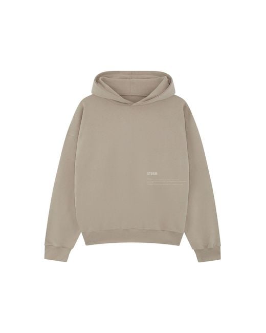 Storm Gray Neutrals The Everyday Oversized Hoodie Stone