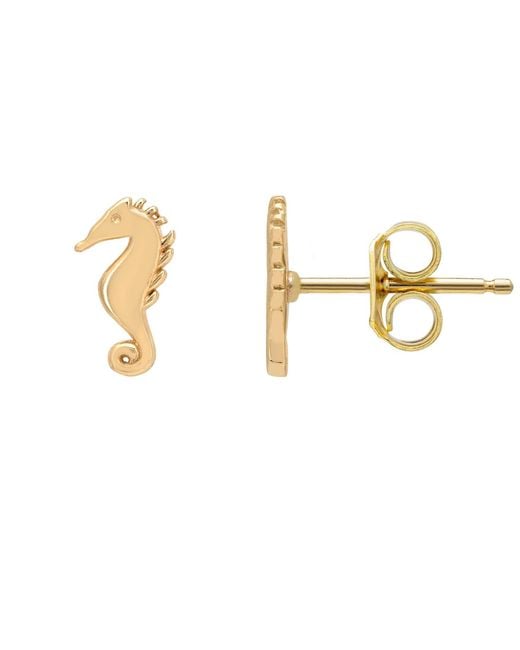 Latelita London Metallic Solid 14K Seahorse Stud Earrings