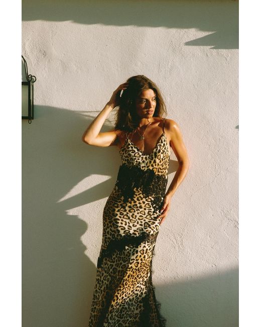 Wild Lovers Brown Honeycomb Dress
