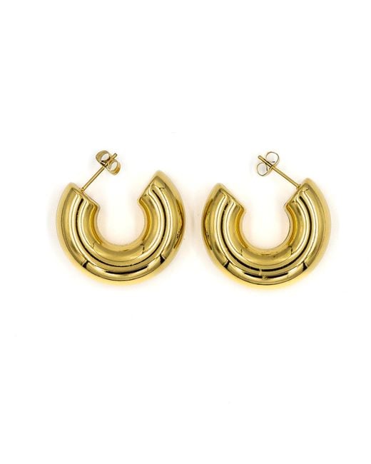 Superdivajewellery Metallic Sarah Thick Hoop Earrings