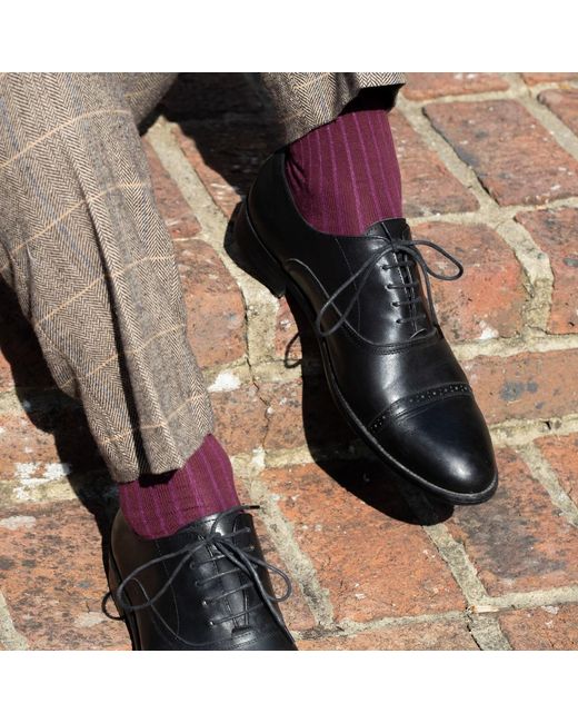 Peper Harow - Made in England Pink Three Pack Essential Socks for men