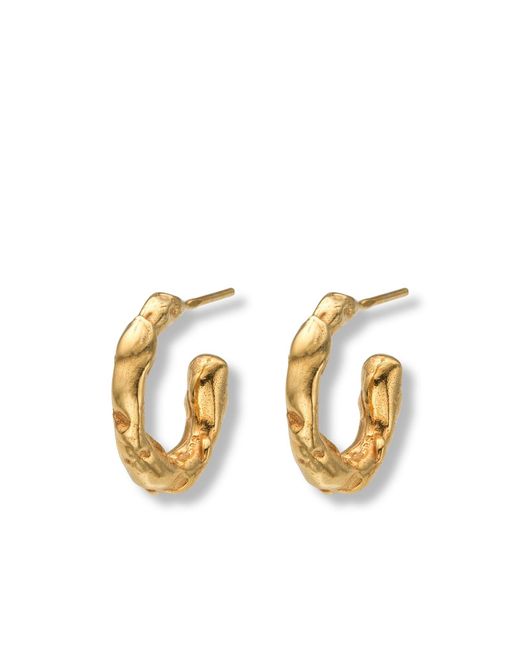 EVA REMENYI Metallic Talisman Small Hoop Earrings 14K