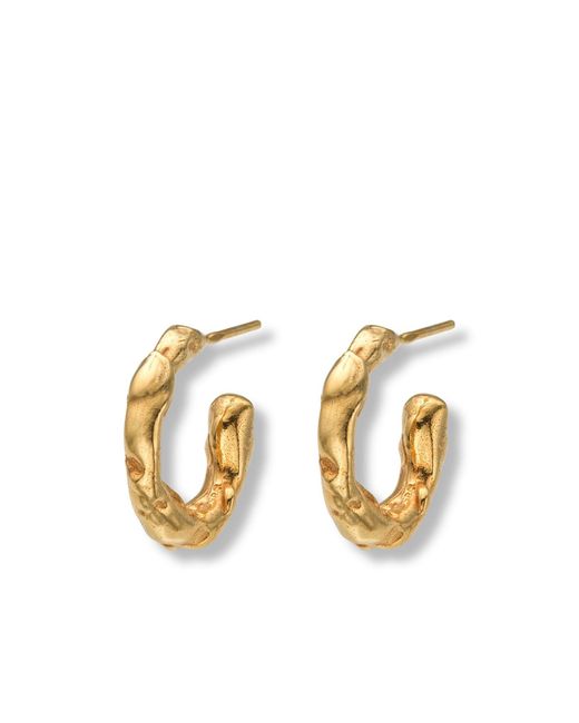 EVA REMENYI Metallic Talisman Small Hoop Earrings 14 Ct