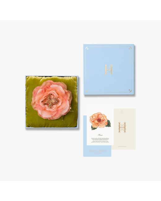 Helena Simon Orange The Peach Open Rose Floral Brooch