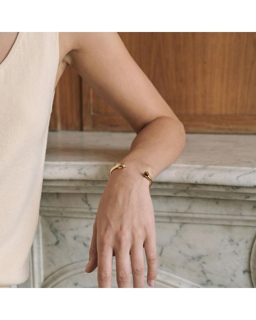 Freqnc Atelier Metallic Dolphin Bangle With Tiger's Eye