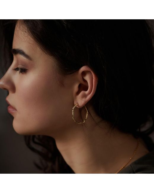Janus Edinburgh Metallic Cairn Gorm Vermeil Sterling Hoop Hammered Earrings