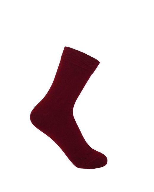Peper Harow - Made in England Blue Socks Bundle – Classic