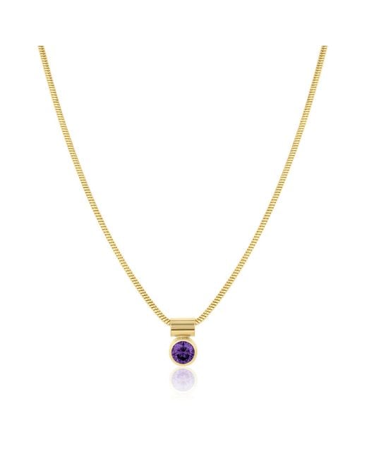 SET & STONES Metallic Ellie Birthstone Necklace- February