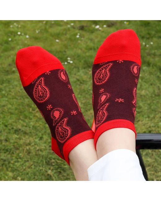 Peper Harow - Made in England Red Paisley Trainer Socks – Burgundy