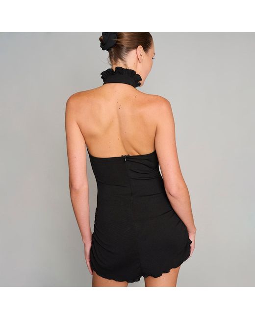 Love and Nostalgia Black Little Tramp Dress