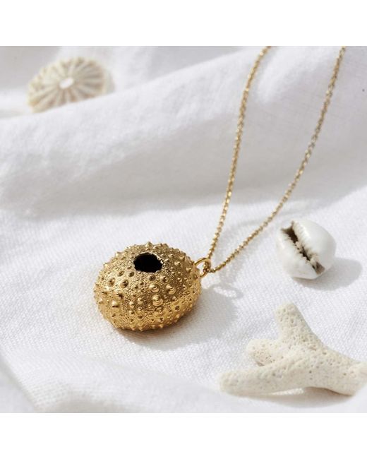 Posh Totty Designs Metallic Sea Urchin Necklace for men
