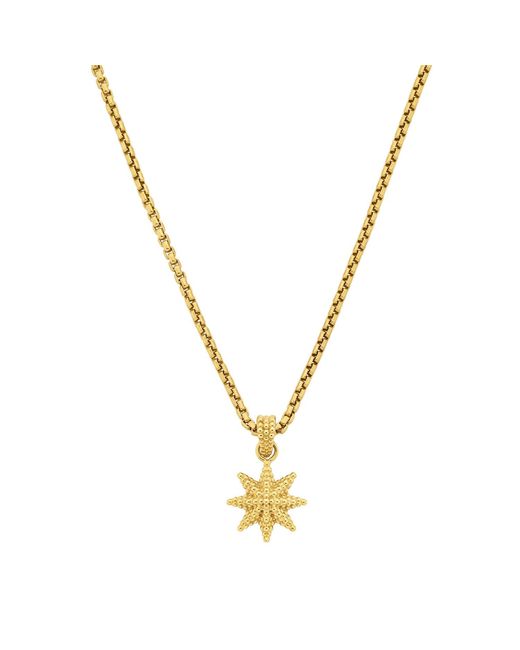 Zoe & Morgan Metallic Morning Star Necklace