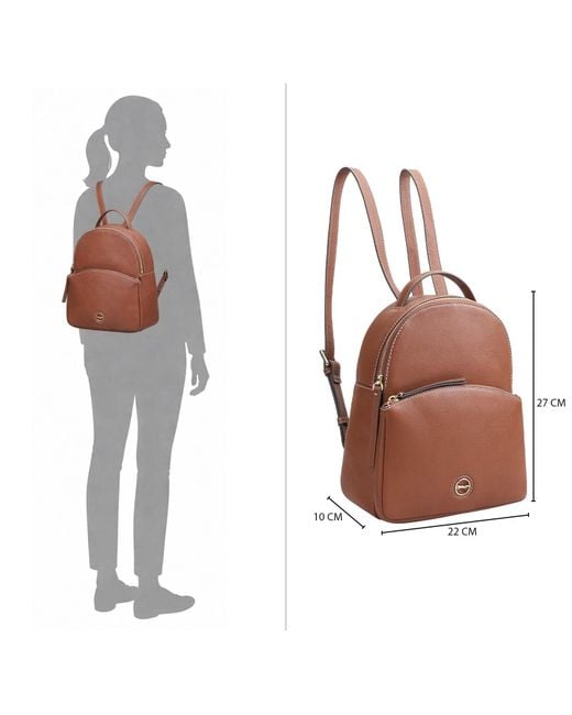 Paul Costelloe Brown Laval Leather Backpack