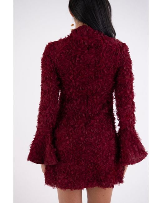Amy Lynn Delphine Burgundy 3D Floral Textured Mini Dress
