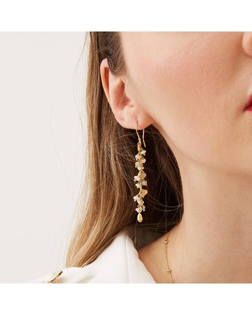 Spero London Metallic Multiple Baroque Pearl Drop Sterling Earring