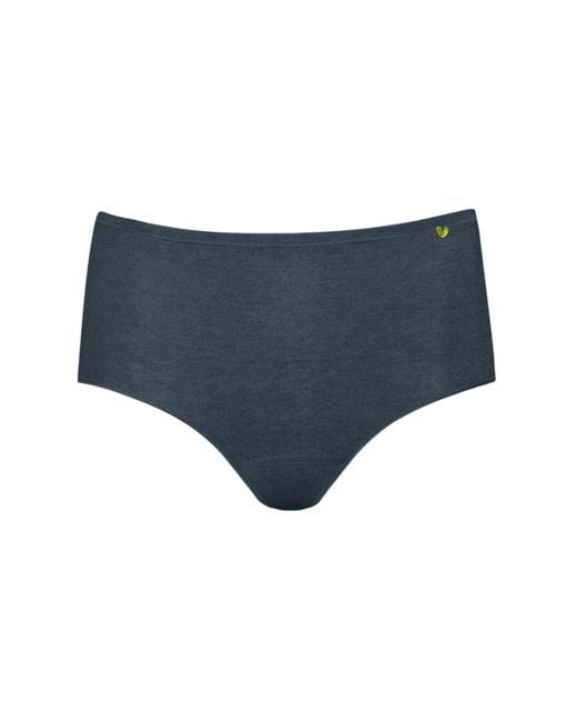 Zd - Zero Defects Blue Atenea High-Waist Brief – Stylisht Fit & Comfort With Soy Fiber