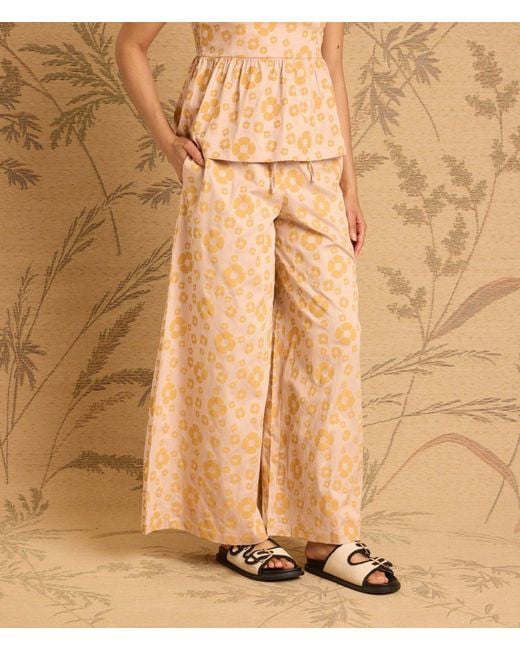 Known Supply Natural Sunset Pant