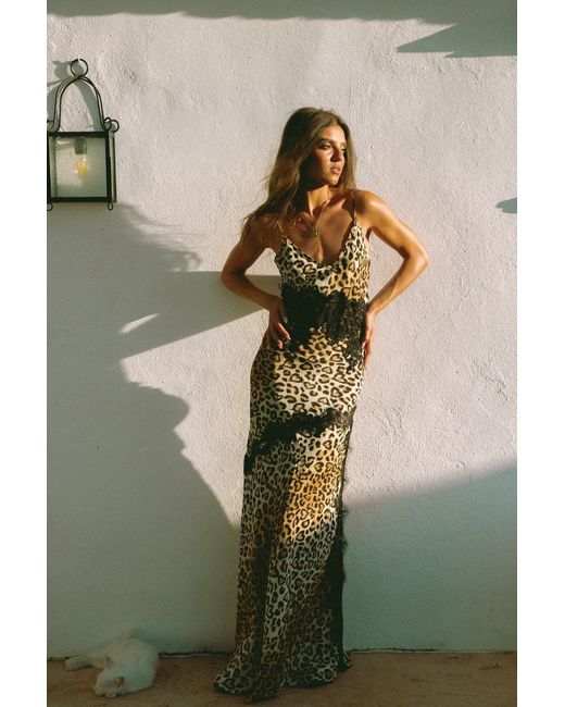 Wild Lovers Brown Honeycomb Dress