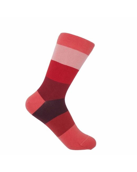 Peper Harow - Made in England Red Block Stripe Fire Luxury Crew & Trainer Socks Bundle